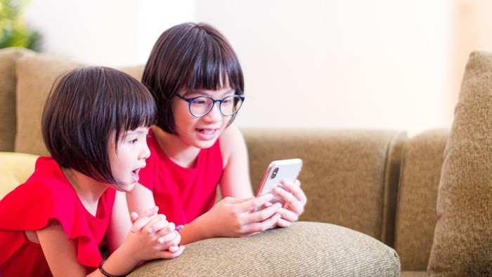 Pembatasan usia akses media sosial untuk anak