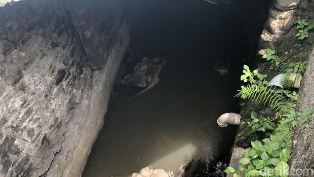 Penampakan sungai diduga asal ular sanca teror jalan Wates, Kasihan, Minggu (19/1/2025) malam.
