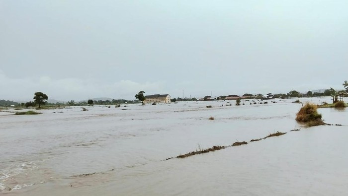 Persawahan di Desa Kalampa, Kecamatan Woha, Kabupaten Bima, NTB, terendam banjir, Senin (20/1/2025) sore. (Dok. Istimewa)