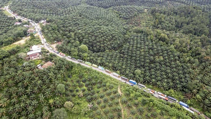 Foto udara kendaraan terjebak kemacetan di Jalan Lintas Sumatera akibat banjir di Merlung, Tanjung Jabung Barat, Jambi, Senin (20/1/2025). Ribuan kendaraan terjebak macet hingga 35 kilometer lebih akibat banjir yang melumpuhkan jalan nasional yang menghubungkan Jambi dengan Riau tersebut sejak Minggu (19/1/2025). ANTARA FOTO/Wahdi Septiawan/tom.