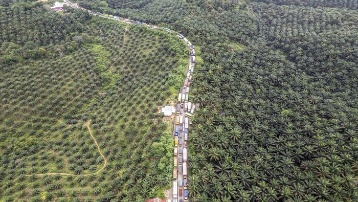 Potret Macet Panjang di Jalan Lintas Sumatera, Sampai 35 Kilometer Foto udara kendaraan terjebak kemacetan di Jalan Lintas Sumatera akibat banjir di Merlung, Tanjung Jabung Barat, Jambi, Senin (20/1/2025). Ribuan kendaraan terjebak macet hingga 35 kilometer lebih akibat banjir yang melumpuhkan jalan nasional yang menghubungkan Jambi dengan Riau tersebut sejak Minggu (19/1/2025). ANTARA FOTO/Wahdi Septiawan/tom.