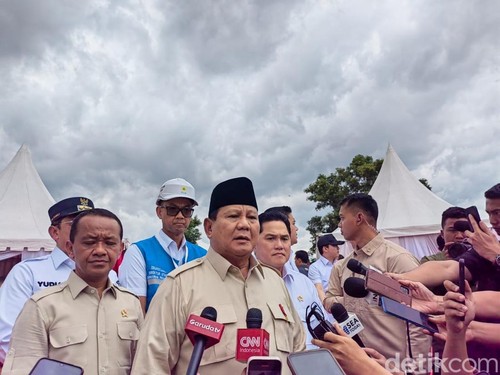 Prabowo Klaim RI Negara Paling Maju Transisi ke Energi Bersih