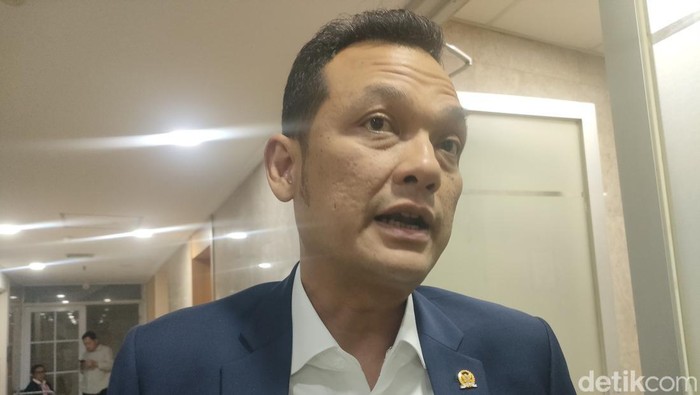 Wakil Ketua Baleg DPR Martin Manurung. Foto: Dwi/detikcom.