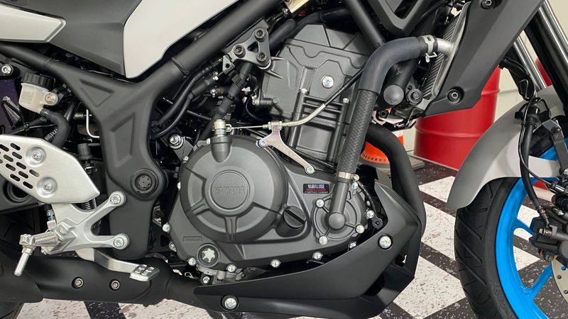 Yamaha MT-25 model 2025