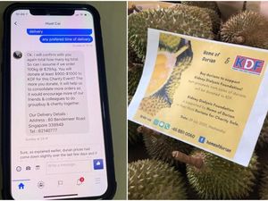 5 Kasus Penipuan Durian yang Bikin Rugi Ratusan Juta Rupiah