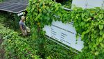Aduh! PLTS Bantuan Pemerintah Rusak