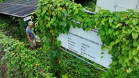 Selain rusak, lokasi PLTS juga ditumbuhi rumput liar.  