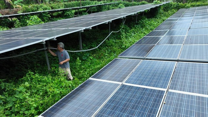 Warga berjalan di area pembangkit listrik tenaga surya (PLTS) yang rusak di Desa Lakarama, Kecamatan Towea, Muna, Sulawesi Tenggara, Senin (20/1/2025). Menurut pemerintah desa setempat PLTS 100 kWp bantuan dari Kementerian ESDM tahun 2015 itu yang selama ini menjadi sumber listrik bagi 1.287 warga di pulau muna tersebut sejak lima tahun lalu sudah tidak bisa berfungsi normal akibat kerusakan pada baterai. ANTARA FOTO/Jojon/tom.