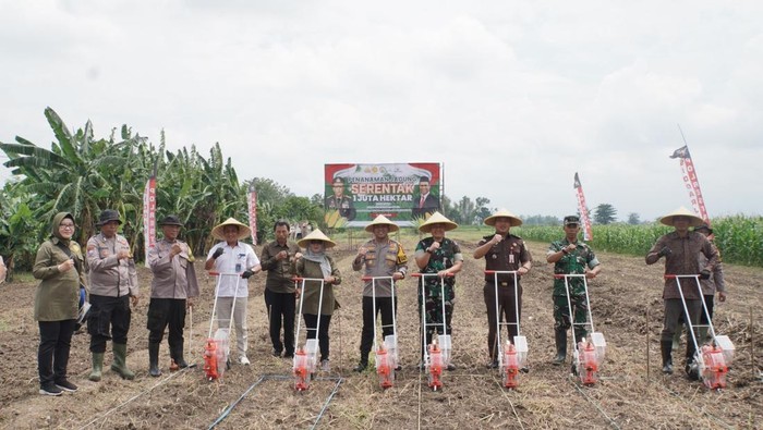 Forkopimda Sidoarjo melakukan penanaman jagung bersama