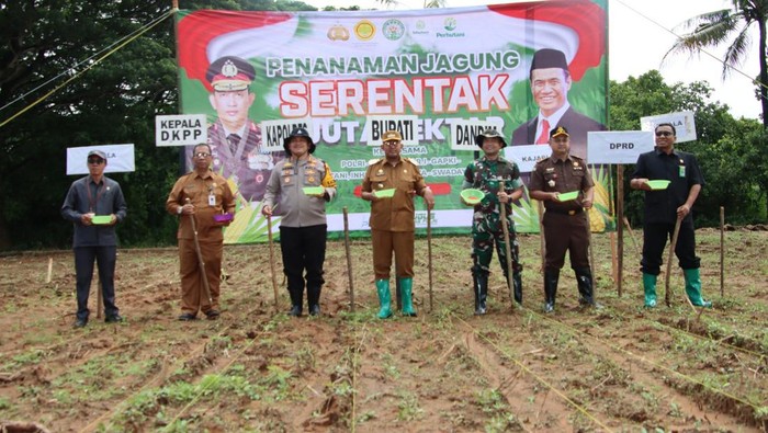 Forkopimda Sumenep menanam bibit jagung bersama di Desa Ellak Daya