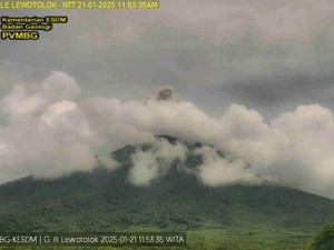 Gunung Ile Lewotolok Meletus Siang Ini, Muntahkan Kolom Abu 400 Meter