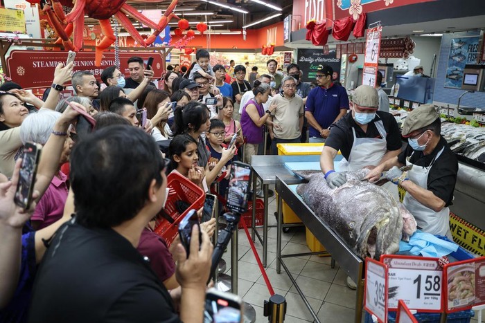 Gokil! Ikan Kerapu Seberat 128 Kg Ludes Terjual Kurang dari 20 Menit