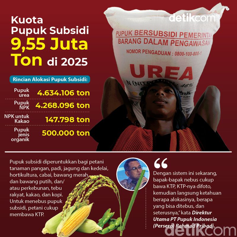 Infografis alokasi pupuk subsidi