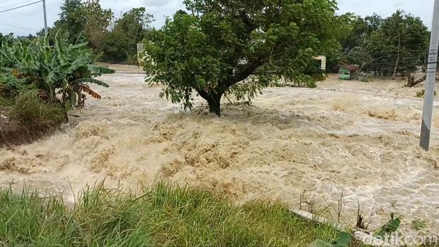 Jalan Semarang-Purwodadi tutup akibat banjir jebolan tanggul di Kebonagung, Demak, Selasa (21/1/2025).
