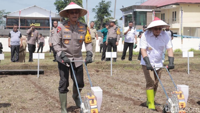 Kapolda Jatim Irjen Imam Sugianto dan jajaran menanam jagung