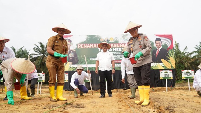 Kapolda Riau Irjen Mohammad Iqbal saat penanaman jagung di Kampar. (Dok Humas Polda Riau)
