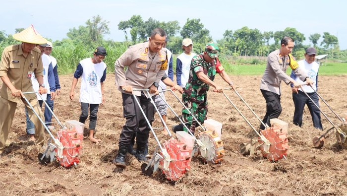 Kapolres Kediri Kota AKBP Bramastyo Priaji menanam jagung