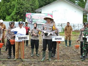 Dukung Swasembada Pangan, Polres Situbondo Tanam Jagung Serentak