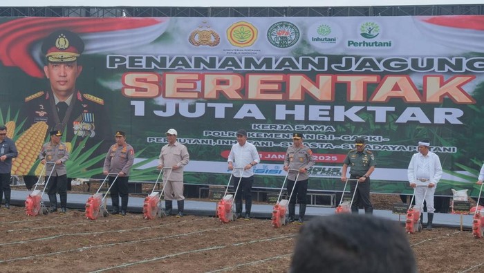 Kegiatan penanaman jagung di Subang