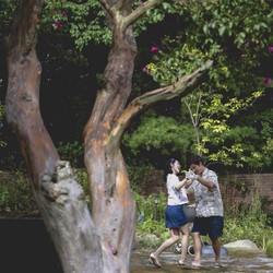 Film Baru Park Chan Wook Digadang Kalahkan Demon Slayer Bulan Ini