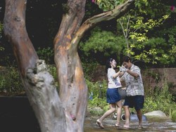Film Baru Park Chan Wook Digadang Kalahkan Demon Slayer Bulan Ini