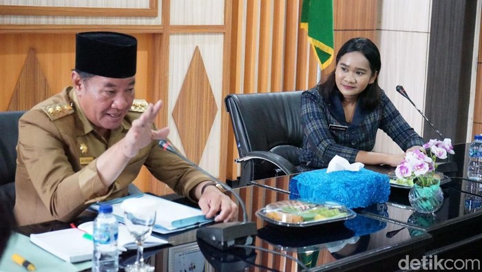 Pelaksana Tugas (Plt) Gubernur Bengkulu, Rosjonsyah