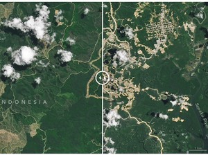Perbedaan Penampakan IKN Tahun 2022 dan 2024 dari Satelit NASA, Berubah!