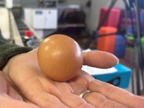 Peternak Ini Temukan Telur Ayam Bulat Sempurna yang Ditawar Rp 4 Juta