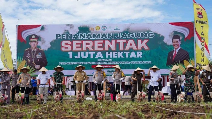 Pj Gubernur NTB bersama Forkopimda NTB melaksanakan penanaman jagung di wilayah Pringgabaya, Lombok Timur, Selasa (21/01/2025). (Foto: Dok. Humas Pemprov NTB)