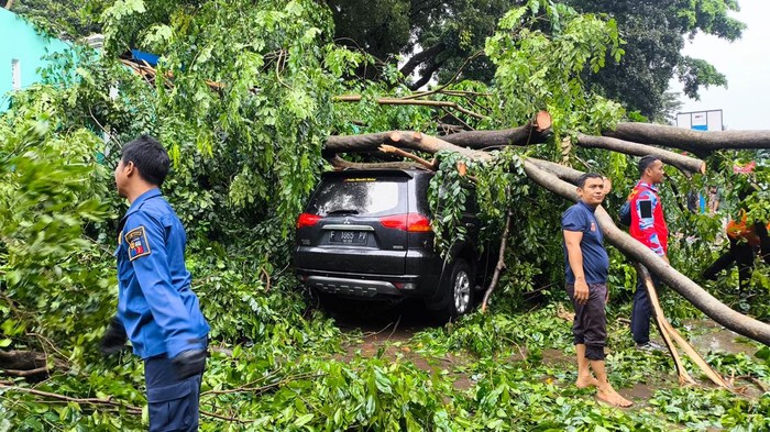 Pohon tumbang timpa tujuh kendaraan di halaman SMK daerah Bogor (dok.istimewa)