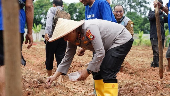 Polda Metro Jaya melakukan penanaman jagung di lahan seluas 16,5 hektare di wilayah Kabupaten Bekasi, Jawa Barat. (dok. ist)