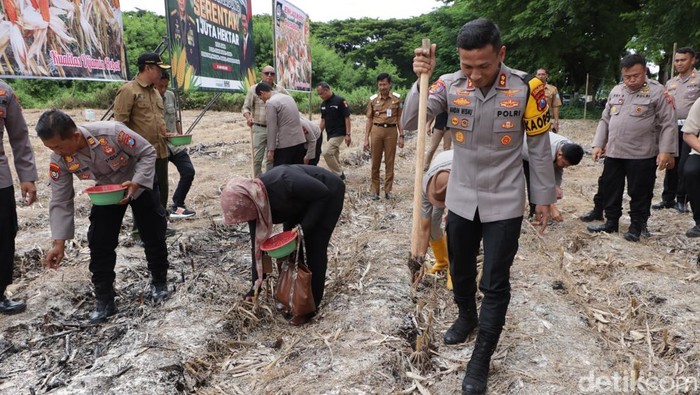 polres ponorogo tanam jagung