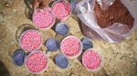 Potret Penanaman Jagung Dalam Rangka Percepatan Swasembada Pangan