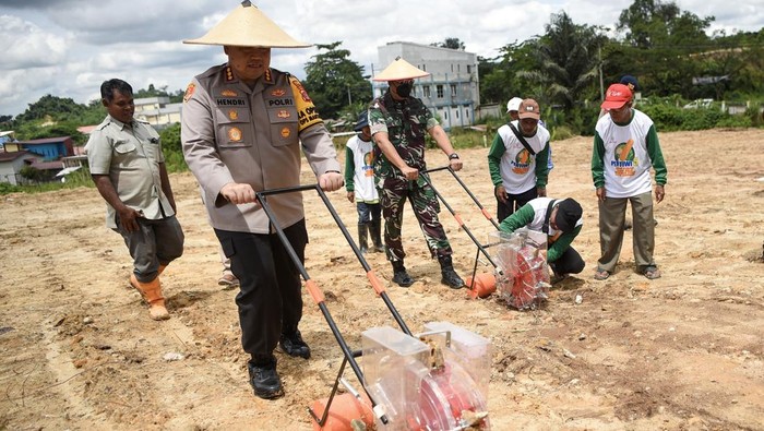 Petani mengambil benih jagung yang disiapkan saat penanaman benih jagung serentak di kawasan Samarinda Seberang, Samarinda, Kalimantan Timur, Selasa (21/1/2025). Kegiatan dalam rangka penanaman benih jagung serentak pada satu juta hektare di Indonesia tersebut merupakan percepatan swasembada pangan dan komitmen bersama dalam menjalankan program pemerintah untuk menjamin ketersediaan pangan yang berkelanjutan. ANTARA FOTO/M Risyal Hidayat/nym.