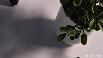 S25 Plus memiliki screen to body ratio 90,7%, sementara yang base screen to body ratio-nya 90,1%. Foto: Aisyah Kamaliah/detikINET