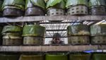 Sibuknya Perajin Kue Keranjang dan Dodol di Tangerang Jelang Imlek