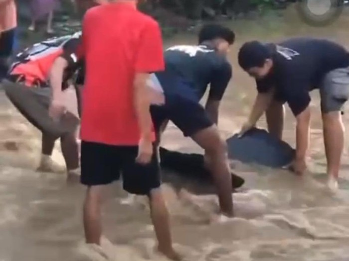 Viral aspal jalan banru di Ngawi terkelupas saat terendam banjir