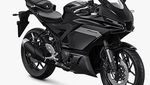 Lihat Lebih Dekat Tampilan Yamaha R25 Terbaru, Makin Mirip Moge