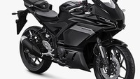 Yamaha R25 terbaru terinspirasi dari flagship model Yamaha YZF-R9 dan R1GYTR. Foto: Dok. Yamaha Indonesia