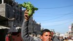 Aktivitas Ekonomi di Gaza Mulai Berdenyut