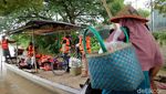 Pemukiman di Bojonegoro Terendam, Imbas Bengawan Solo Meluap
