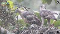 Lambang RI, Sang Garuda Lestari di Kawasan Bromo