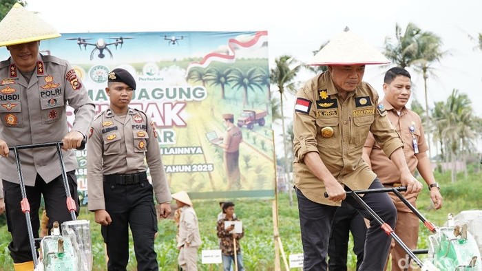 Gubernur Jambi dan Kapolda Jambi serta Danrem 042 Gapu melakukan penanaman jagung.