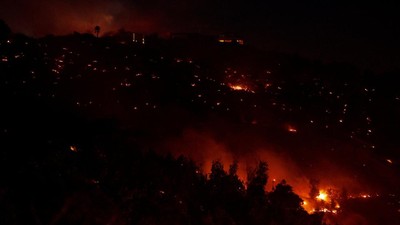 Hutan di San Diego California Ikut Membara