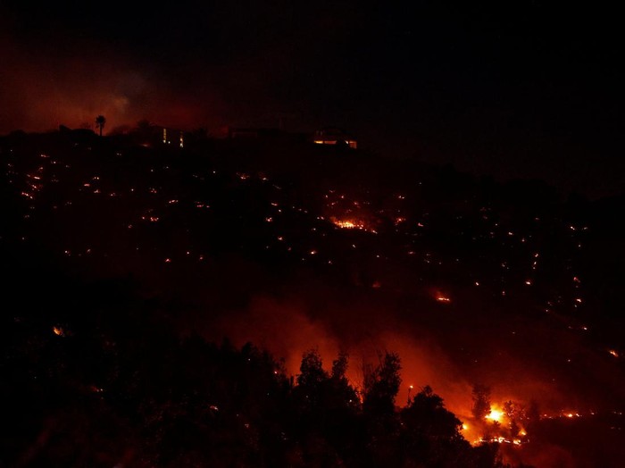 Hutan di San Diego California Ikut Membara A firefighter works at the site of a wildfire, named the Lilac Fire, in the Bonsall area of San Diego County, California, U.S., January 21, 2025. REUTERS/Mike Blake