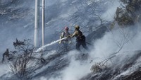 Para petugas menanggapi tiga kebakaran semak kecil semalam di San Diego County bagian utara. Kebakaran Lilac, kebakaran terbesar, meluas hingga 85 hektar dan memicu evakuasi di Bonsall, sebuah komunitas kecil sekitar 45 menit di utara San Diego. Kebakaran tersebut telah mengungsikan 86 penduduk dan merusak dua bangunan.   