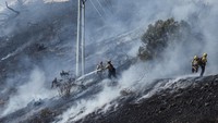 Belum sepenuhnya padam di Los Angeles, kebakaran hutan terjadi di San Diego County pada hari Selasa, 21 Januari 2025 waktu setempat yang memicu perintah evakuasi, penutupan sekolah, dan pemadaman listrik.   
