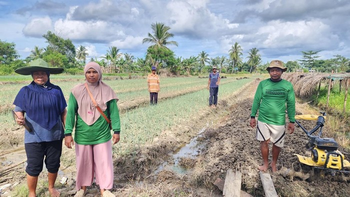 Kisah Petani Merauke Genjot Produktivitas Lewat KlasterkuHidupku BRI