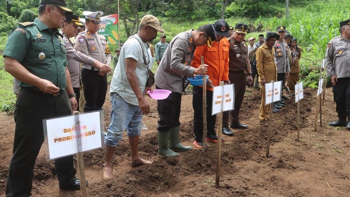 Lahan kering di Probolinggo ditanami jagung untuk dukung ketahanan pangan
