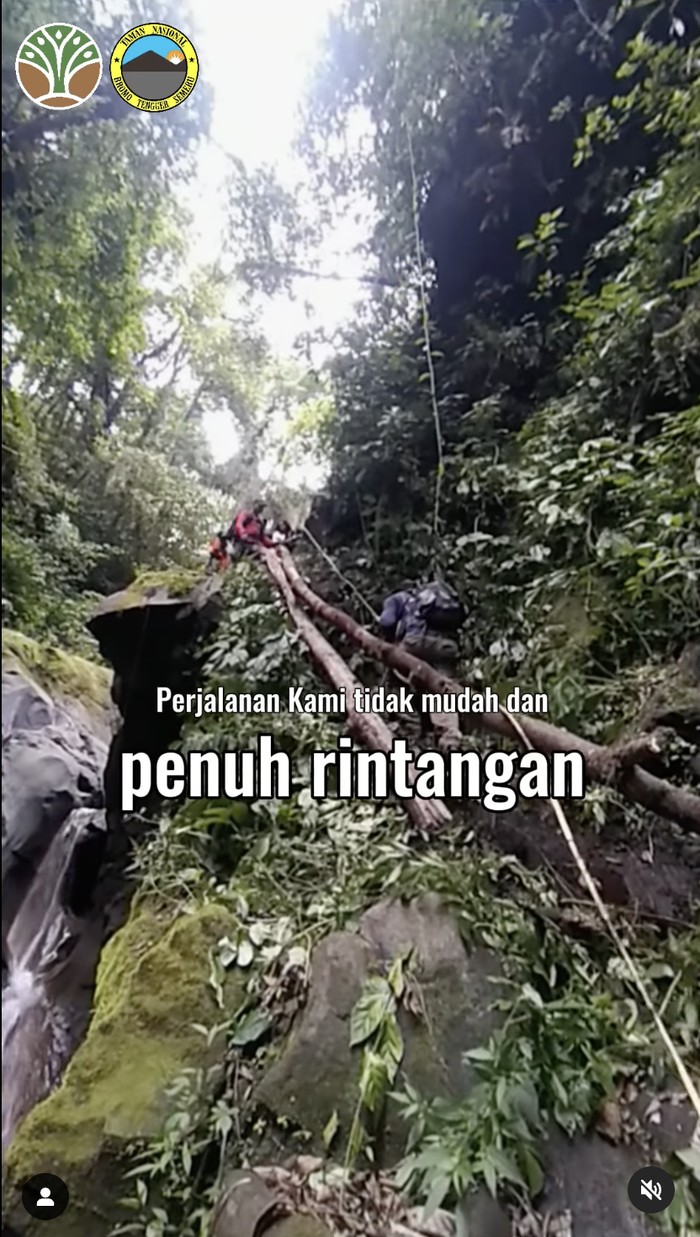 macan tutul Jawa TNBTS macan tutul Jawa TNBTS